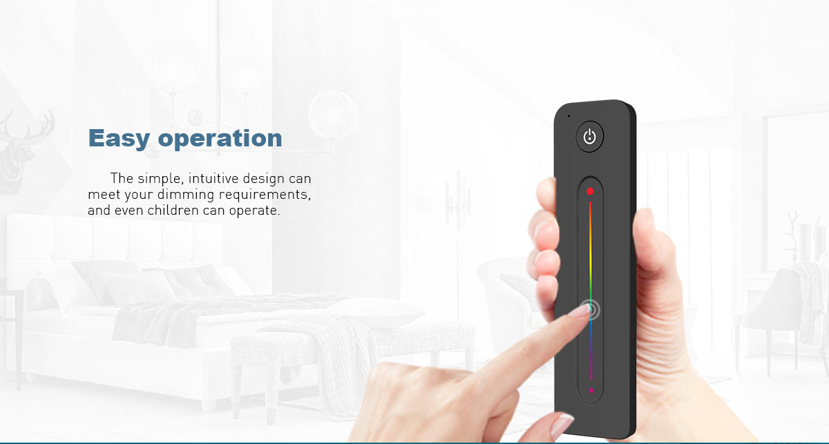 1 Zone RGB Remote Control R13